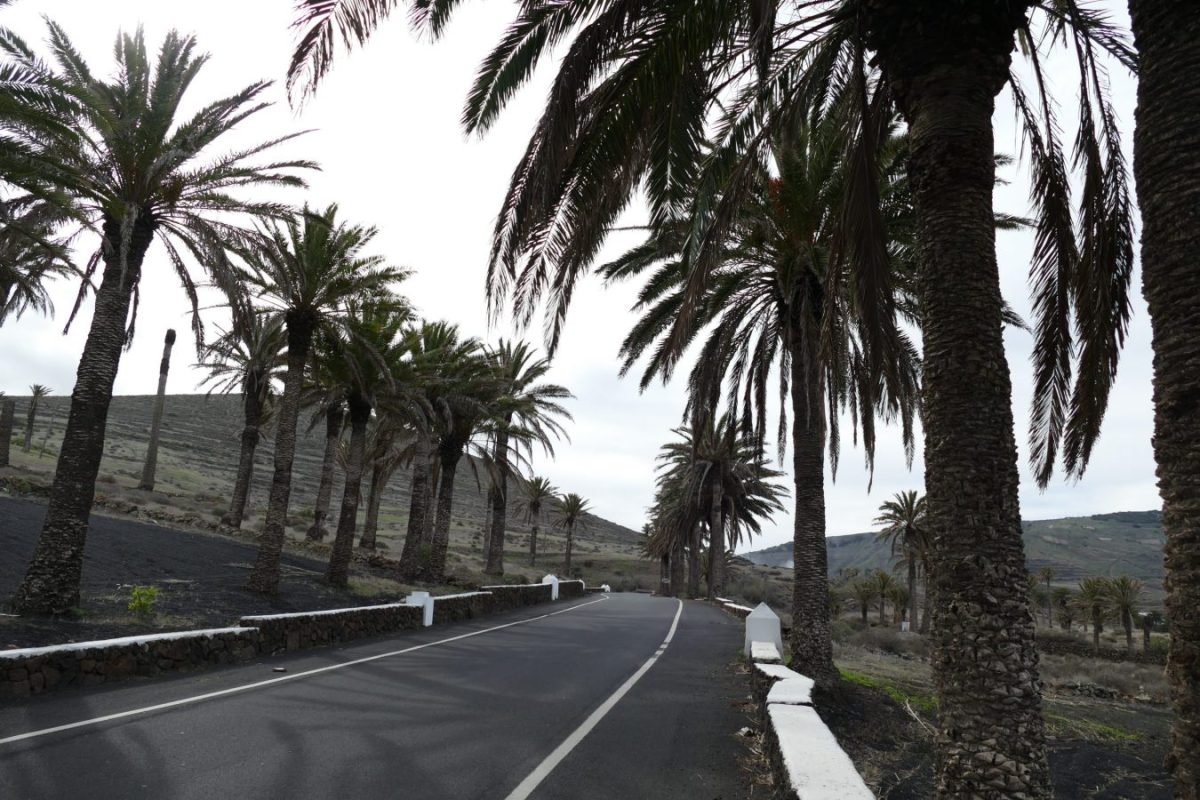 Lanzarote, fietsen en genieten in een vulkaanlandschap